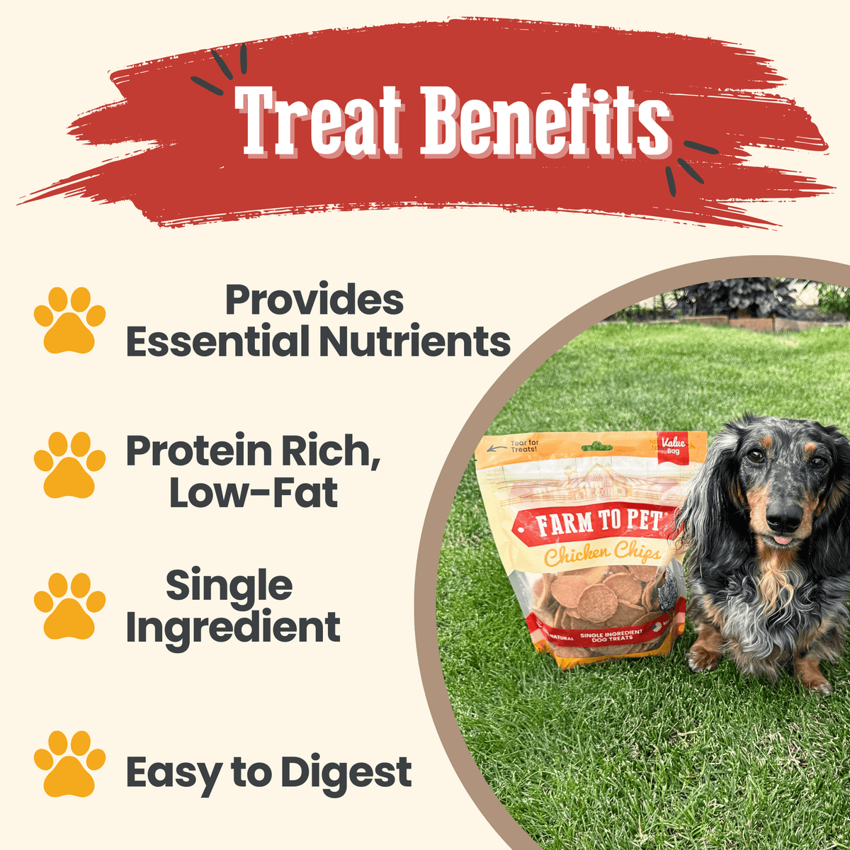 Chicken Chips for Dogs | All-Natural Single-Ingredient Dog Treats