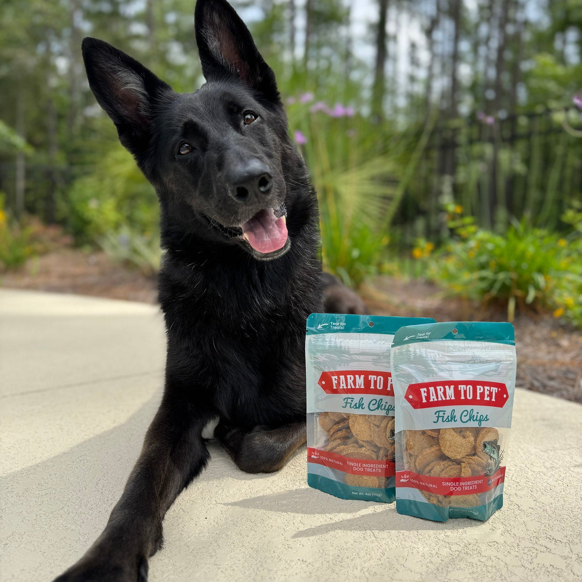 Fish Chips for Dogs | Wild-Caught Fish Dog Treats