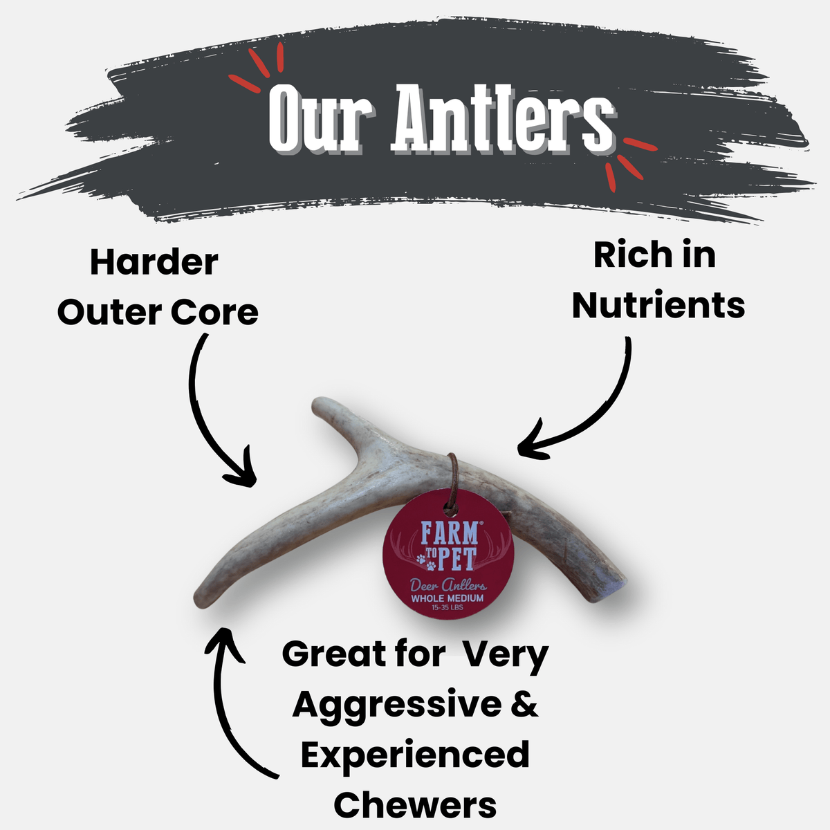 Deer Antler Dog Chews | Organic Chews for Dogs