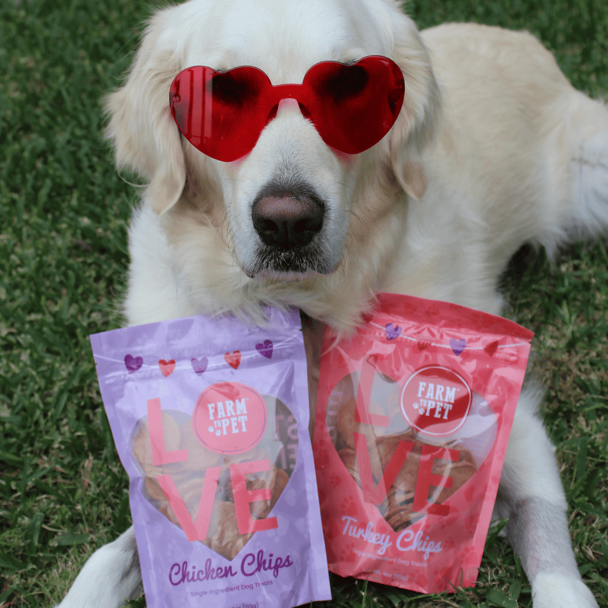 Puppy Love Dog Treat Duo | Poultry Chip Variety Pack