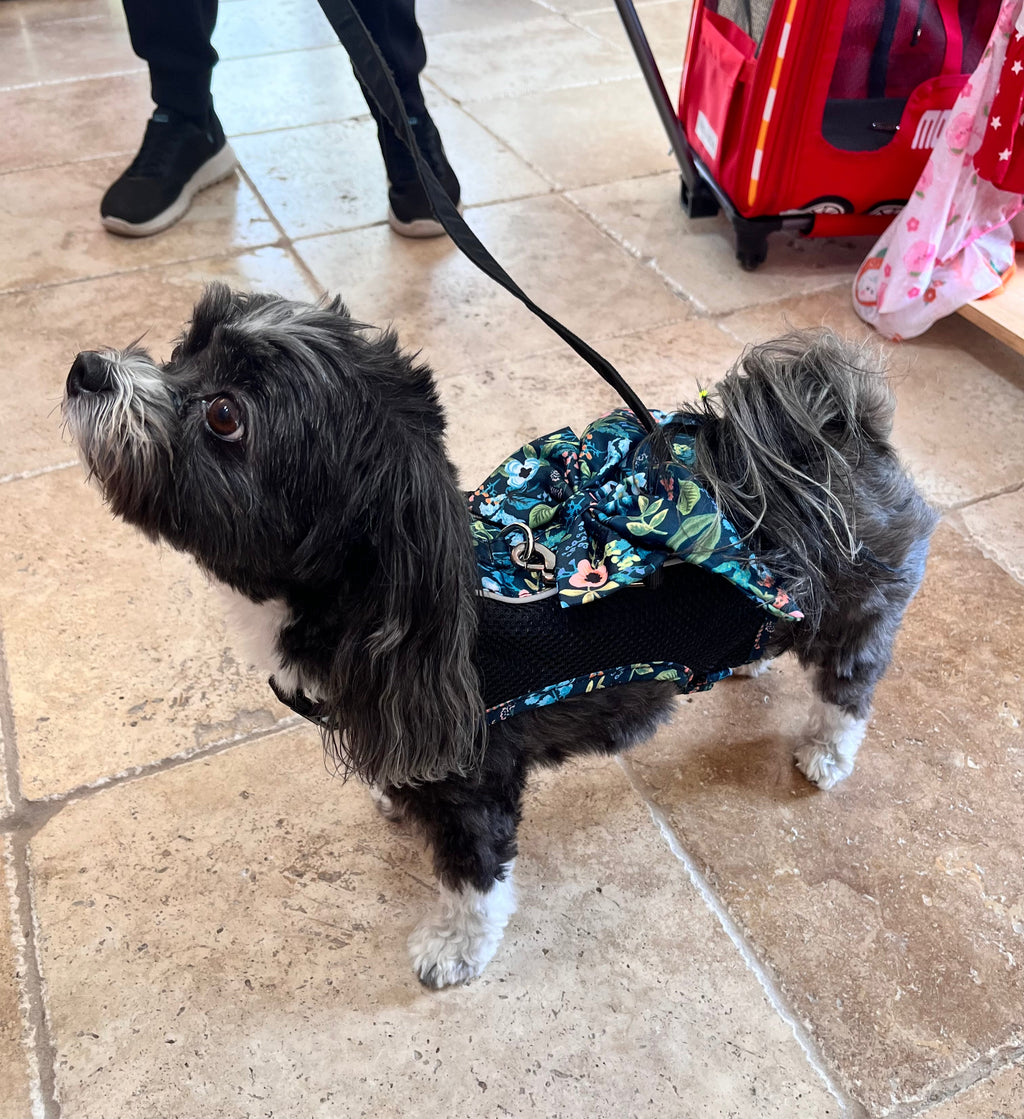 Floral Bow Mesh Dog Harness Dress with Leash