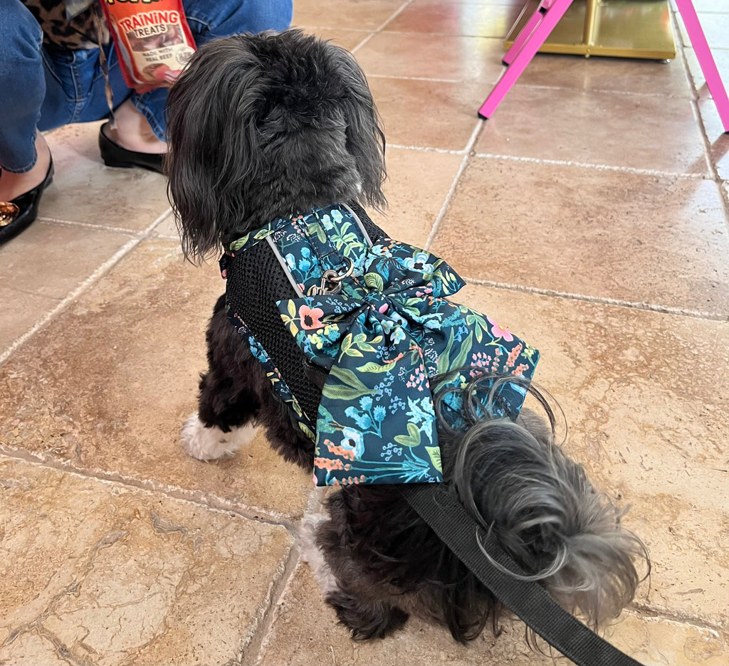 Floral Bow Mesh Dog Harness Dress with Leash
