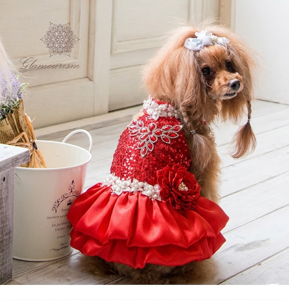 Red Sequin Dog Dress with Pearl Lace Details