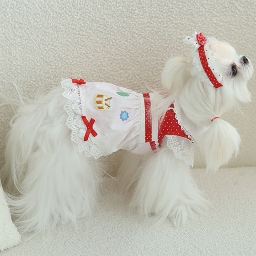 Red Polka Dot 2-Piece Dog Dress Set