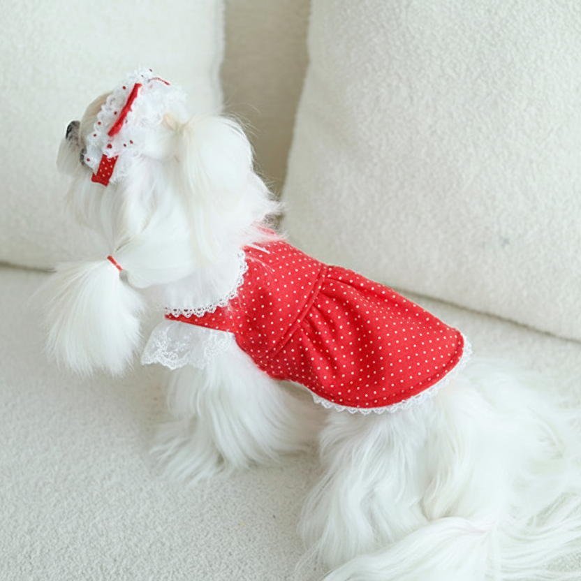 Red Polka Dot 2-Piece Dog Dress Set