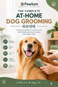 The Complete At-Home Dog Grooming Guide