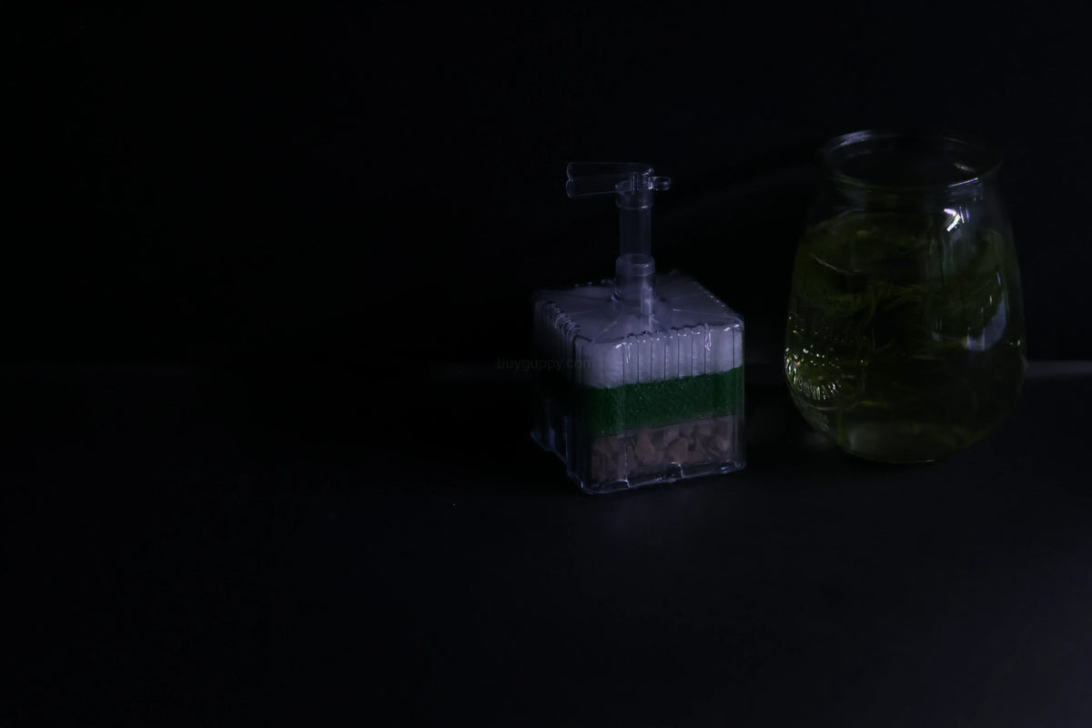 Square Sponge Filter (Loaded, For up to 40 gallons)