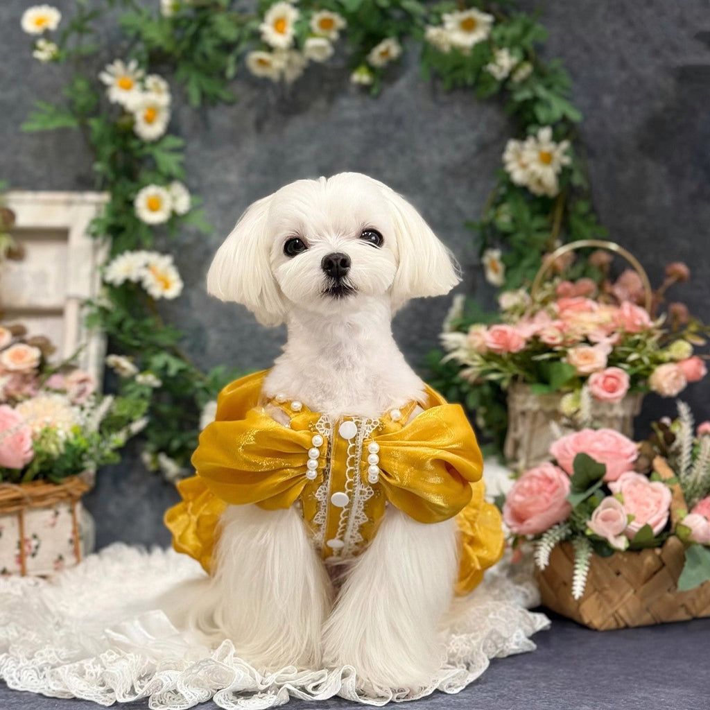 Golden Heart Jewel Dog Dress