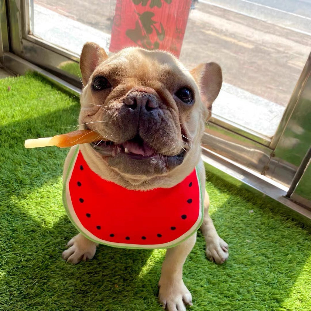 Cartoon Dog Bandana Bib