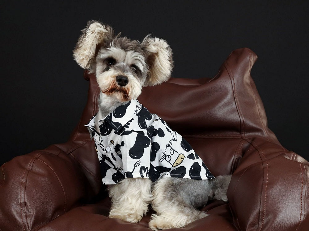 Cow Graphic Dog T-Shirt