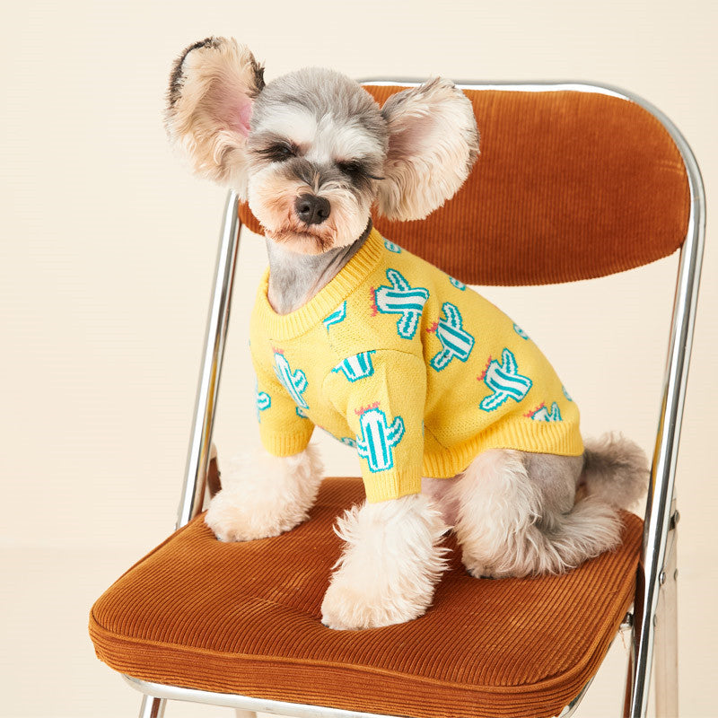 Blue Cactus Knit Dog Sweater
