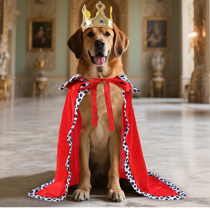 Royal Dog Cape and Crown Set