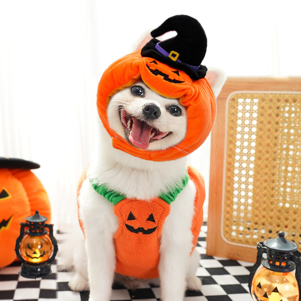 Plush Pumpkin Dog Costume and Hat Set