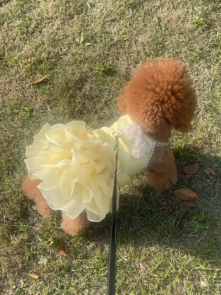 Yellow Pearl Princess Dog Dress