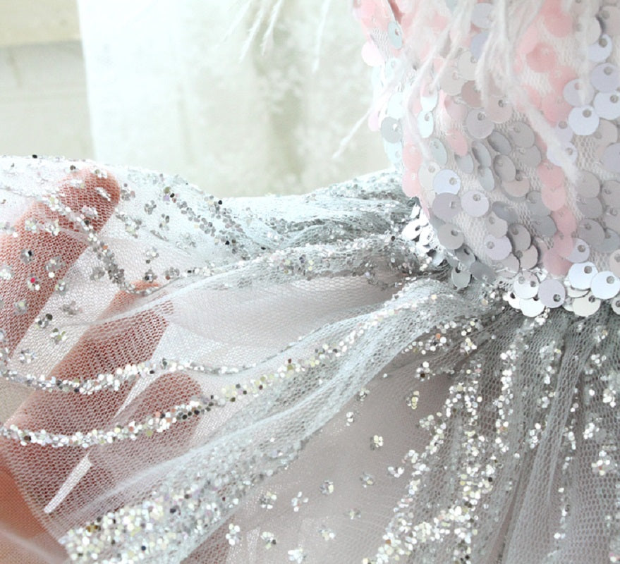 Sequin Feather Dog Princess Dress