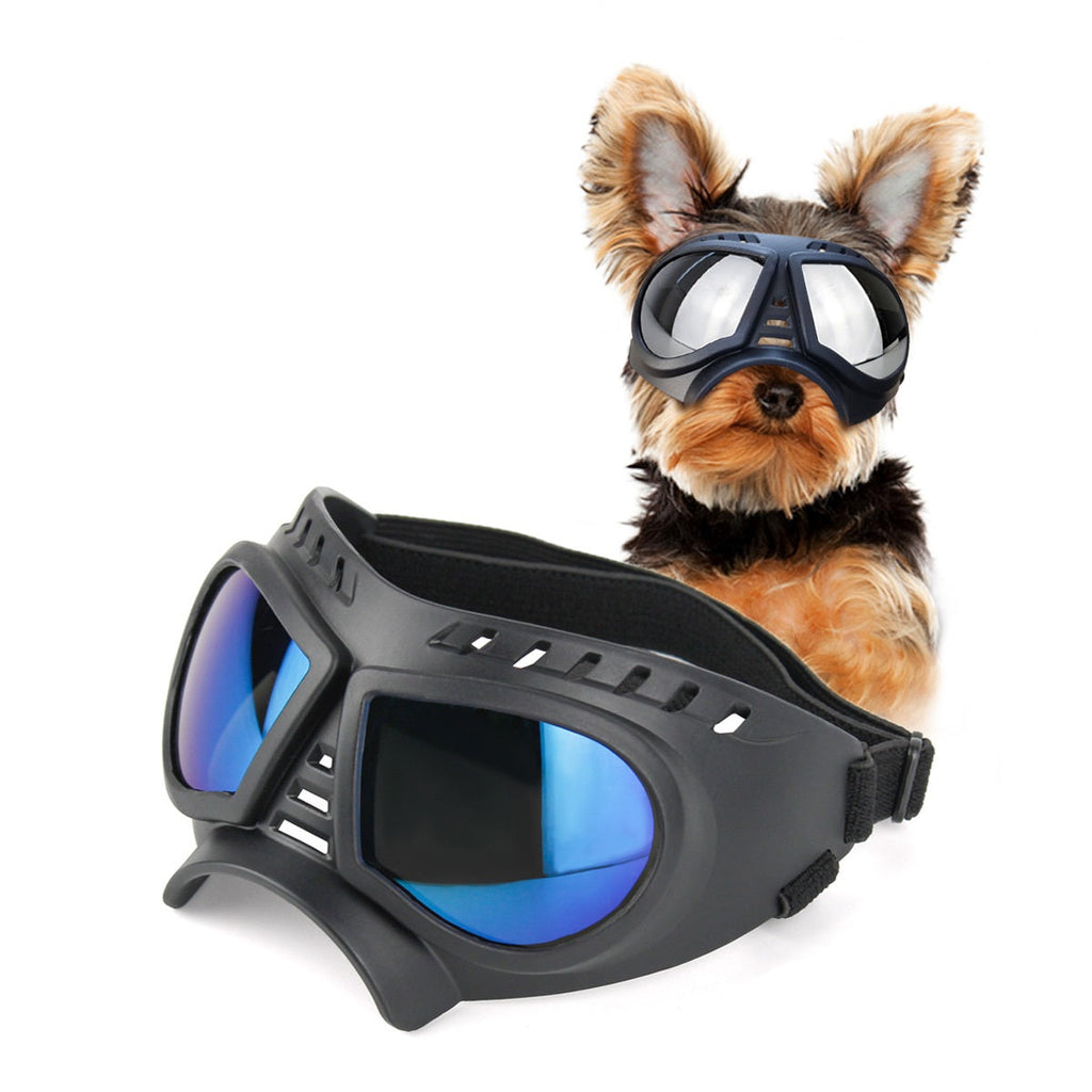 Skull-Bridge Dog Goggles