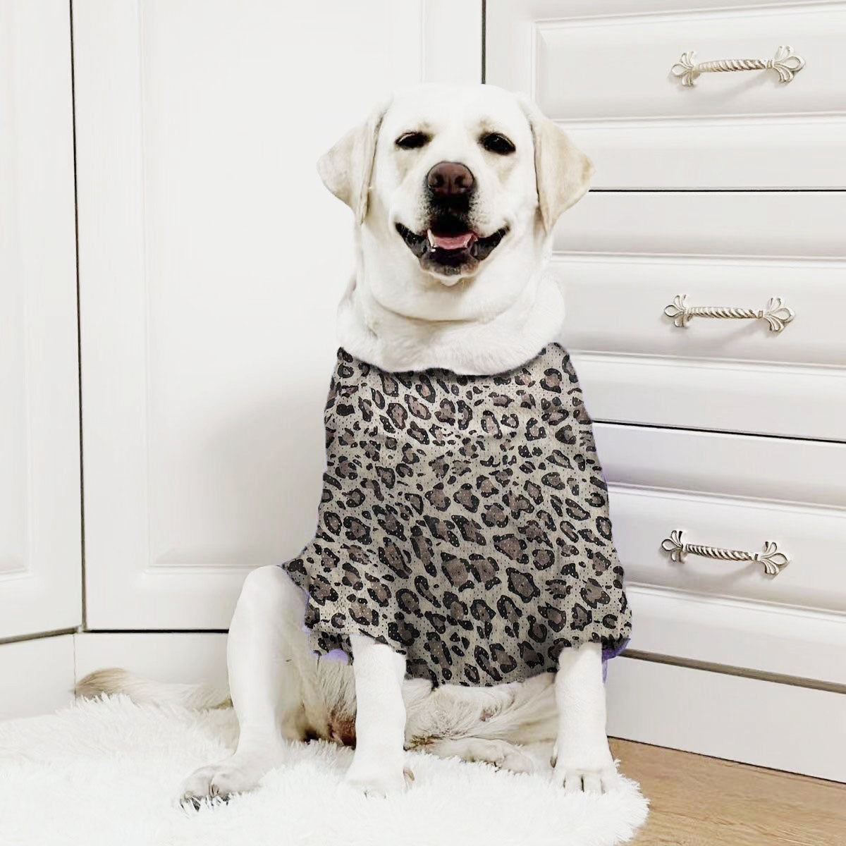 Large Dog Sun Shirt with Cartoon Prints