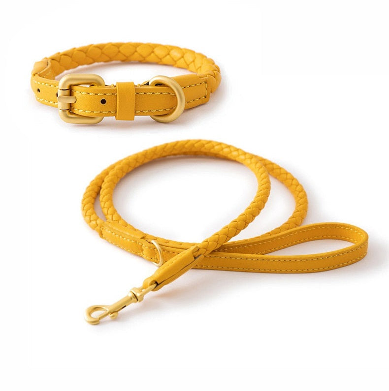 Boutique Braided Leather Dog Collar + Leash Set – Eco-Friendly, Durable, Stylish