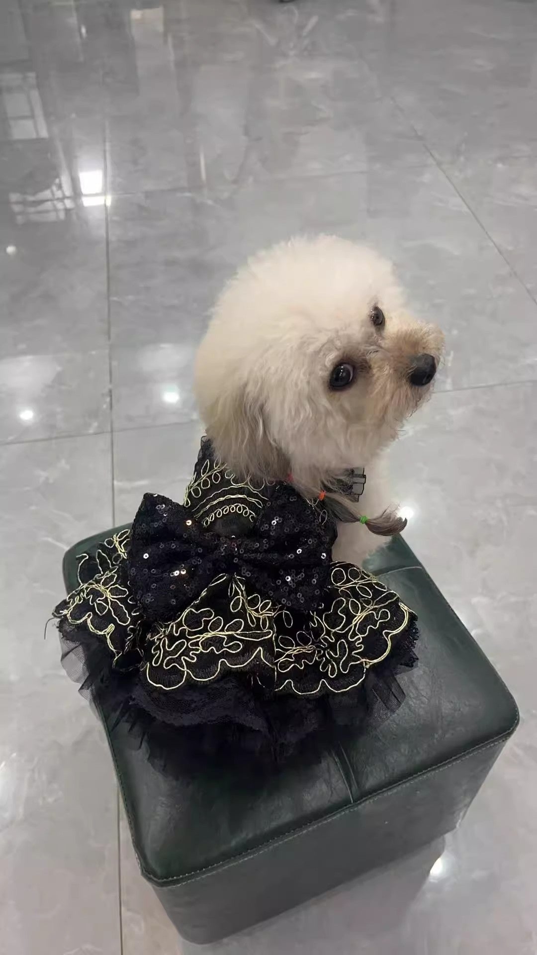 Princess Lace Tutu Puppy Outfit