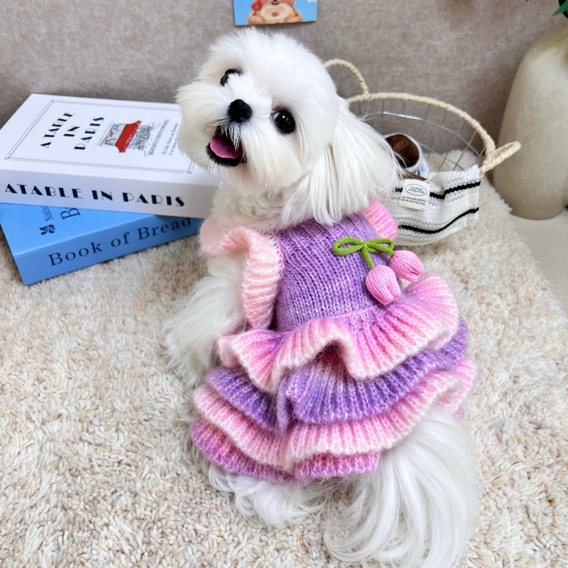 Purple Pink Knit Dog Sweater Dress