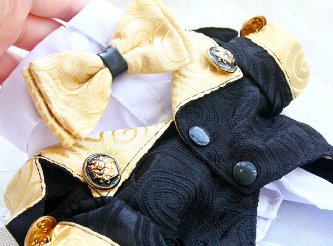 Gold and Black Royal Dog Tuxedo Shirt