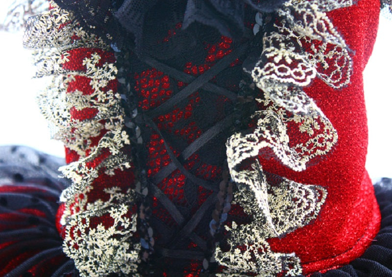 Red Gothic Princess Dog Dress with Black Lace Ball Gown