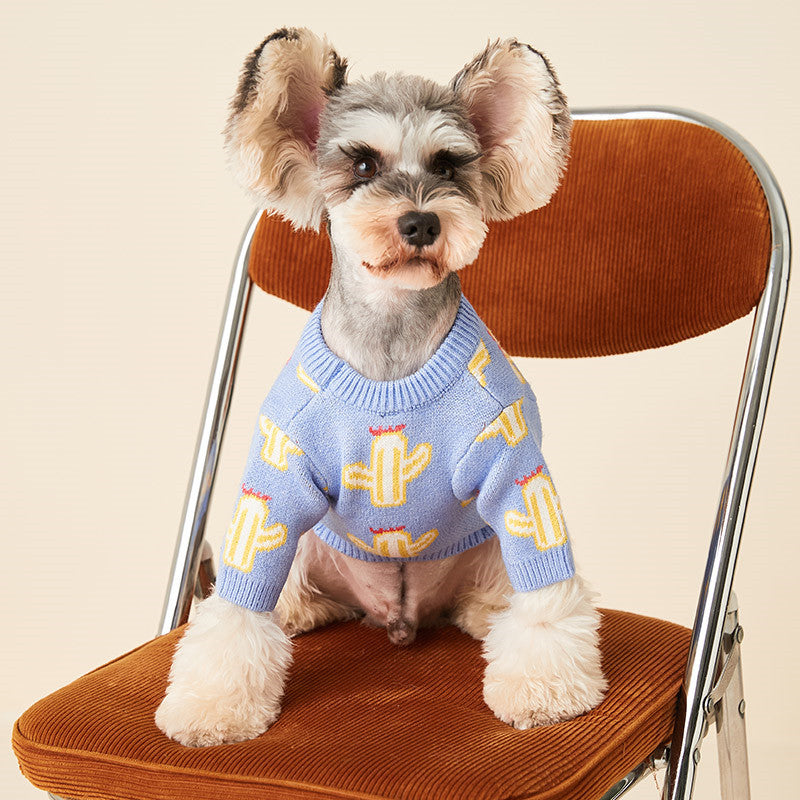 Blue Cactus Knit Dog Sweater