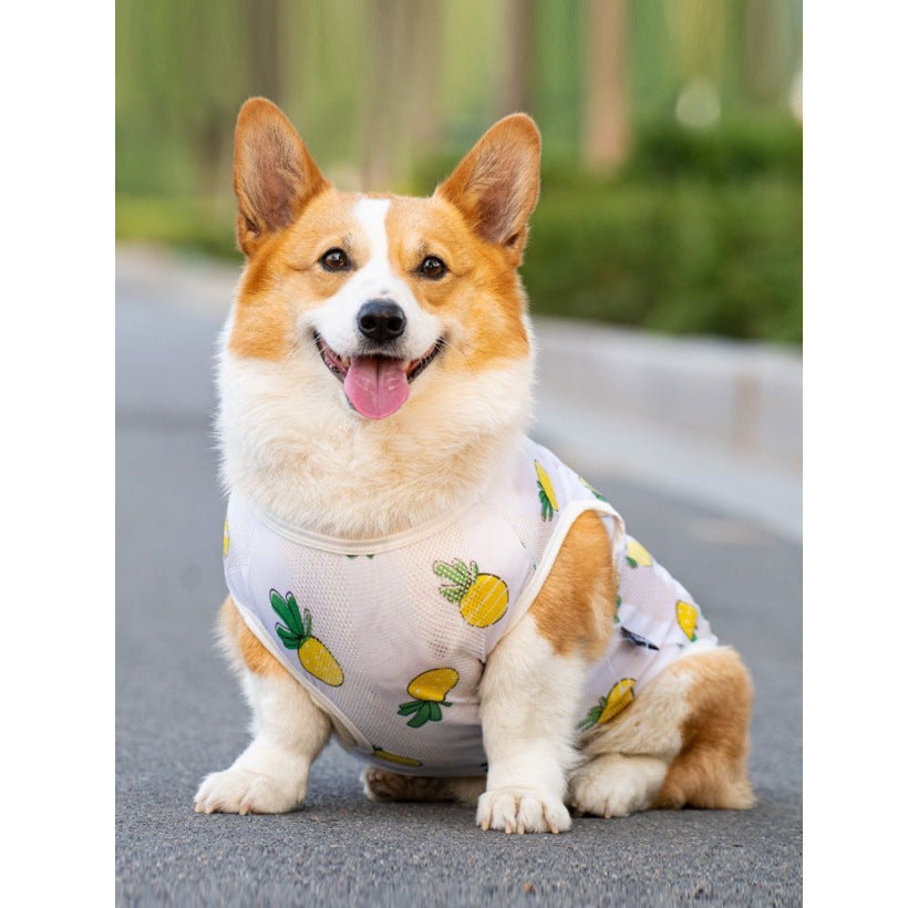 Large Dog Sun Shirt with Cartoon Prints