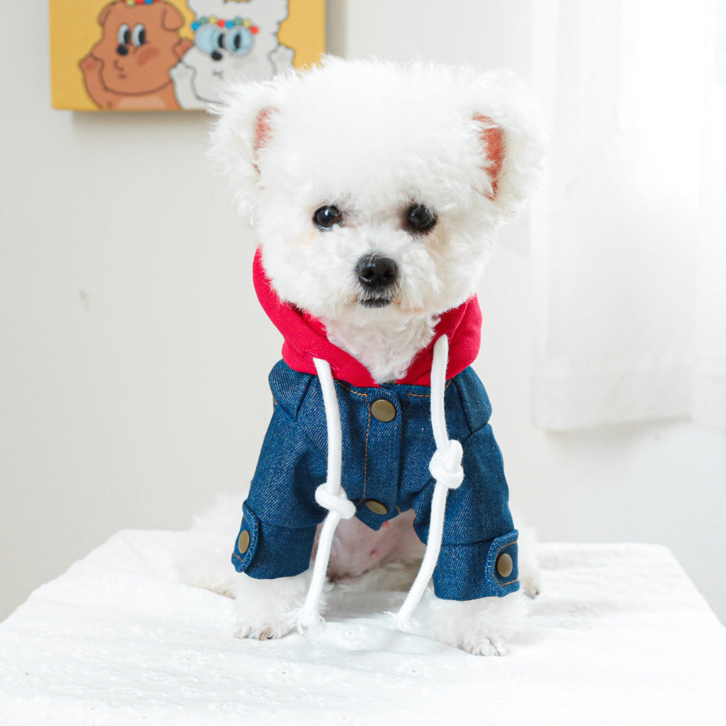 Denim Dog Hoodie Jacket Outfit