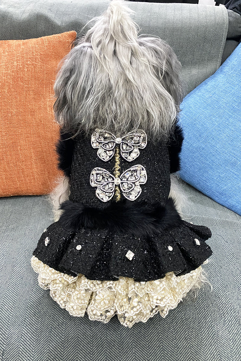 Black Butterfly Dog Coat Dress