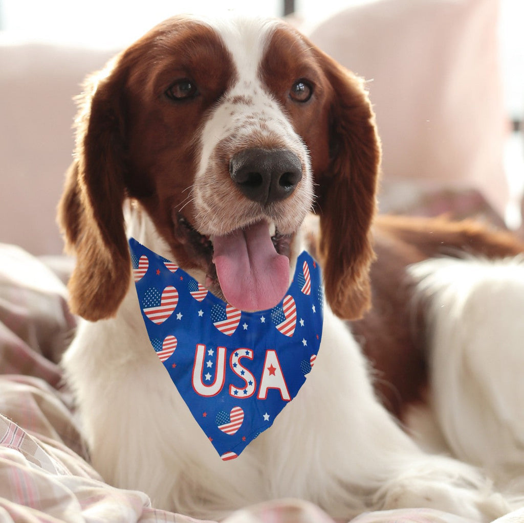 Reversible USA Print Dog Bandana