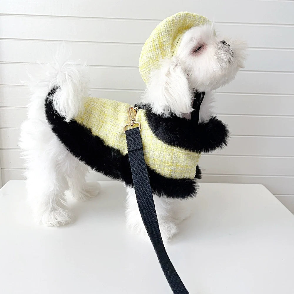 Yellow Tweed Dog Cape and Leash Set