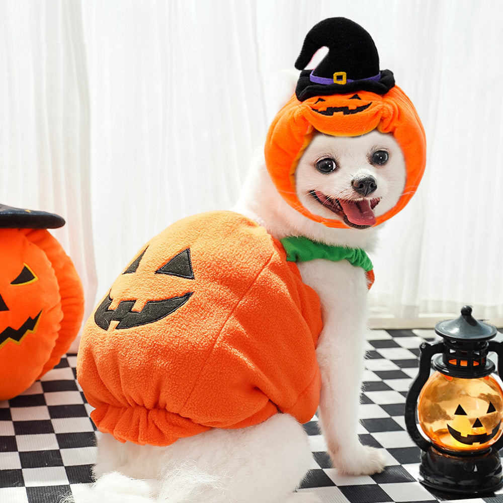 Plush Pumpkin Dog Costume and Hat Set