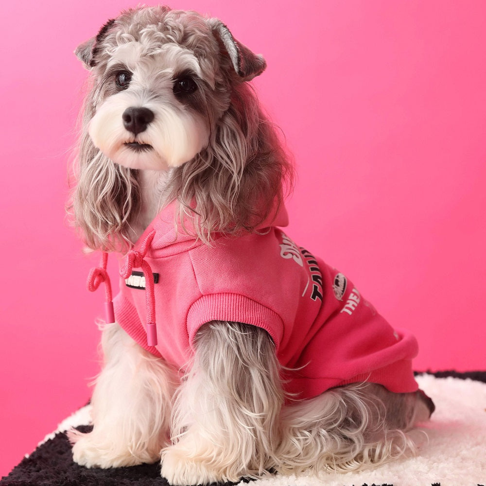Cool Graphic Dog Hoodie