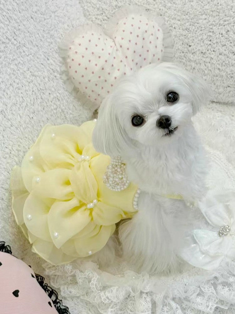 Yellow Pearl Princess Dog Dress
