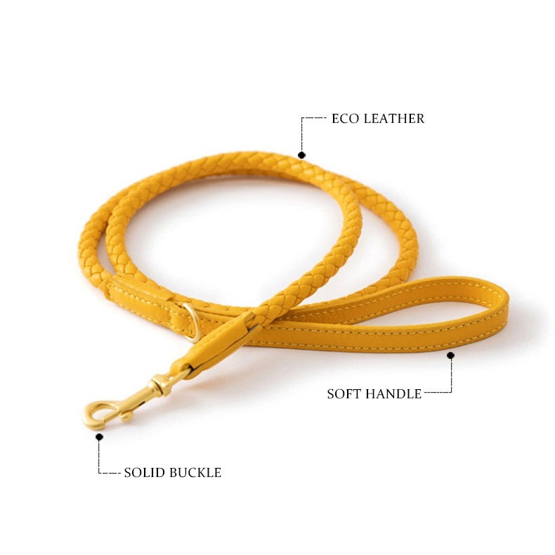 Boutique Braided Leather Dog Collar + Leash Set – Eco-Friendly, Durable, Stylish