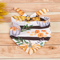 Fall Thanksgiving Tie-On Pet Bandana