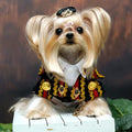 Black and Red Royal Military Dog Suit