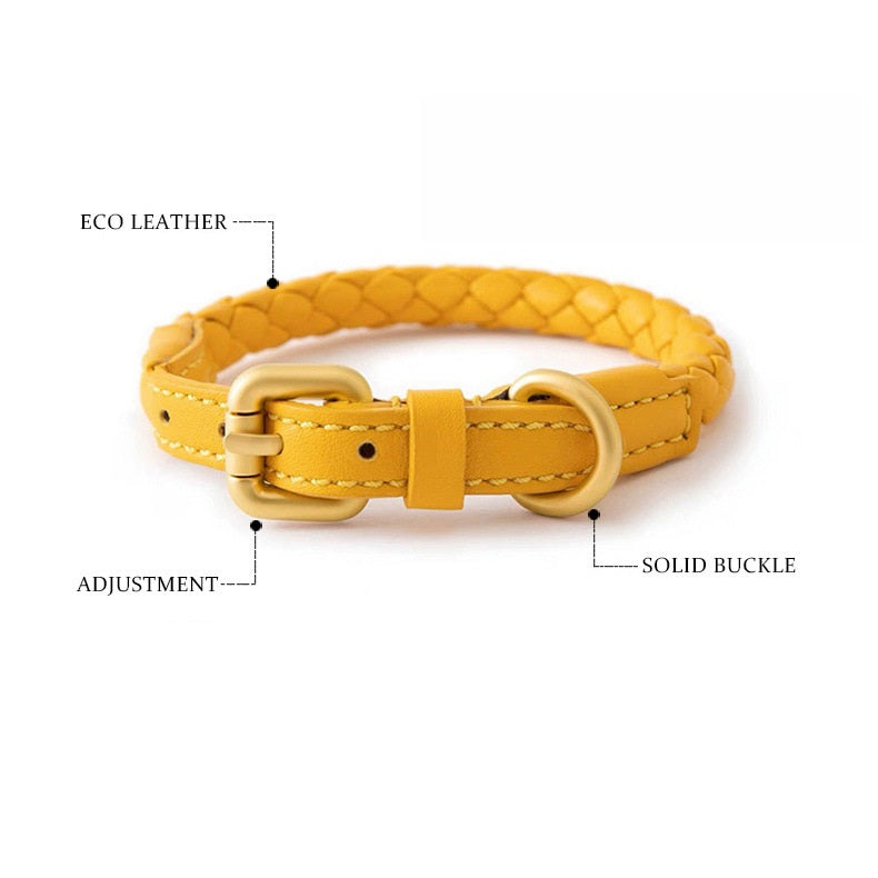 Boutique Braided Leather Dog Collar + Leash Set – Eco-Friendly, Durable, Stylish
