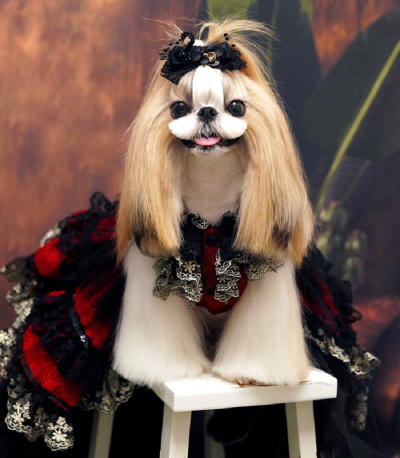 Red Gothic Princess Dog Dress with Black Lace Ball Gown