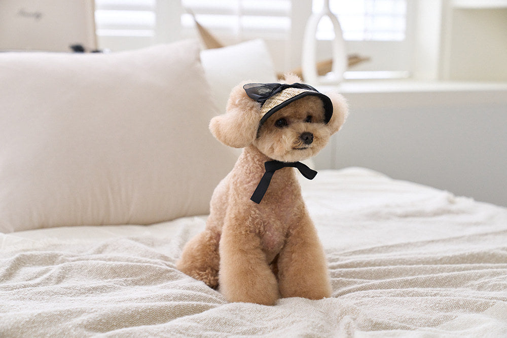 White Lace Straw Pet Hat