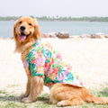 Tropical Hawaiian Dog Beach Shirt for Large Dogs