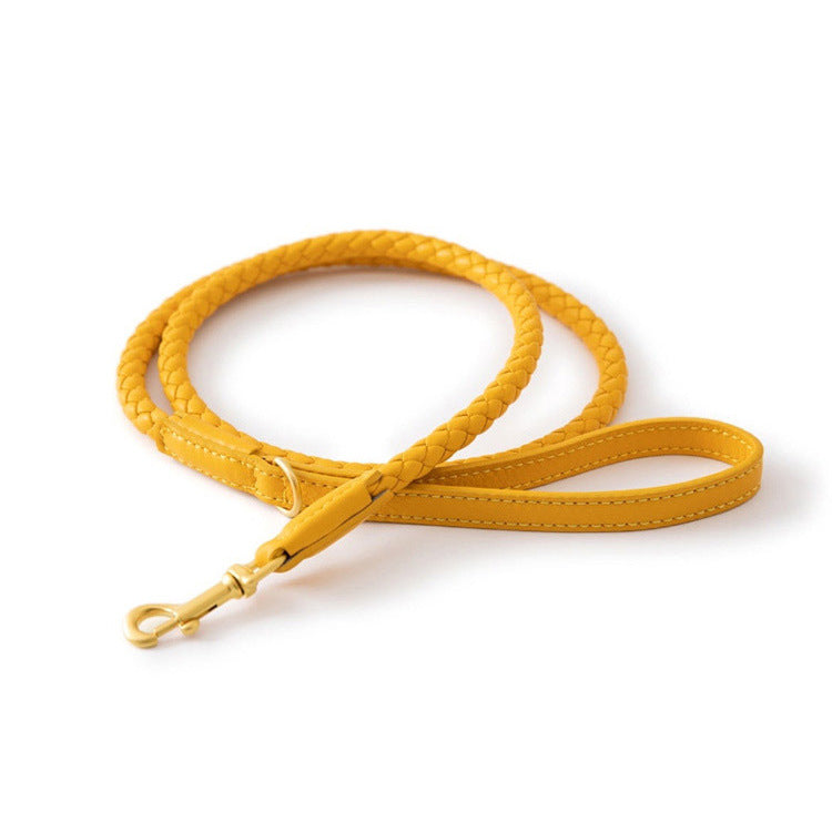 Boutique Braided Leather Dog Collar + Leash Set – Eco-Friendly, Durable, Stylish