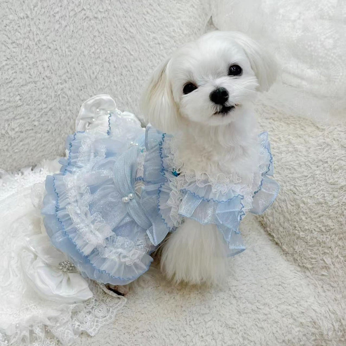Cinderella Princess Puppy Costume Dog Dress