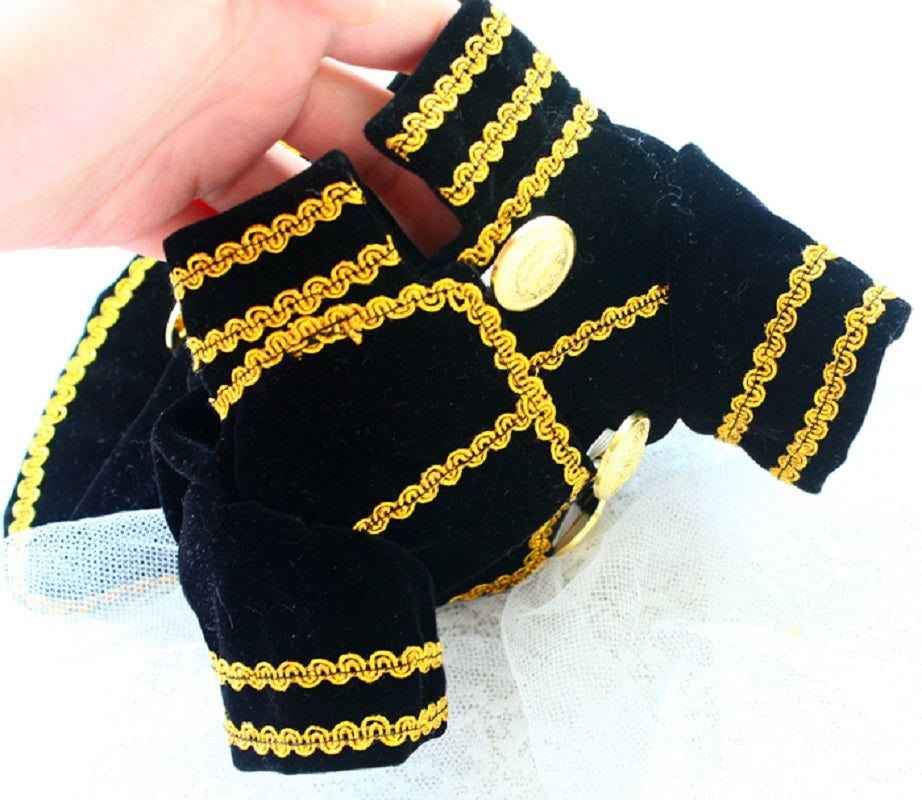 Black Velvet Dog Jacket with Gold Trim