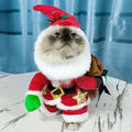 Dog & Cat Santa Costume with Hat, Belt & Gift Sack