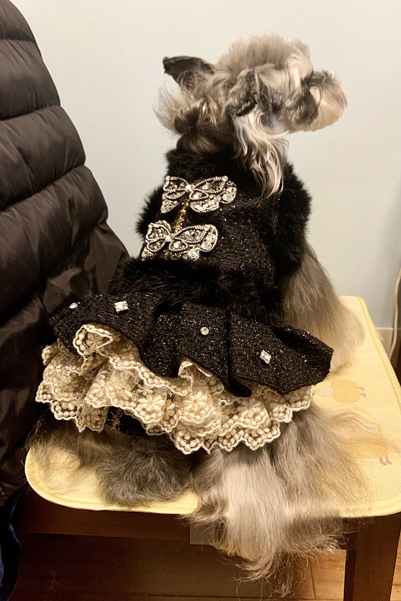 Black Butterfly Dog Coat Dress