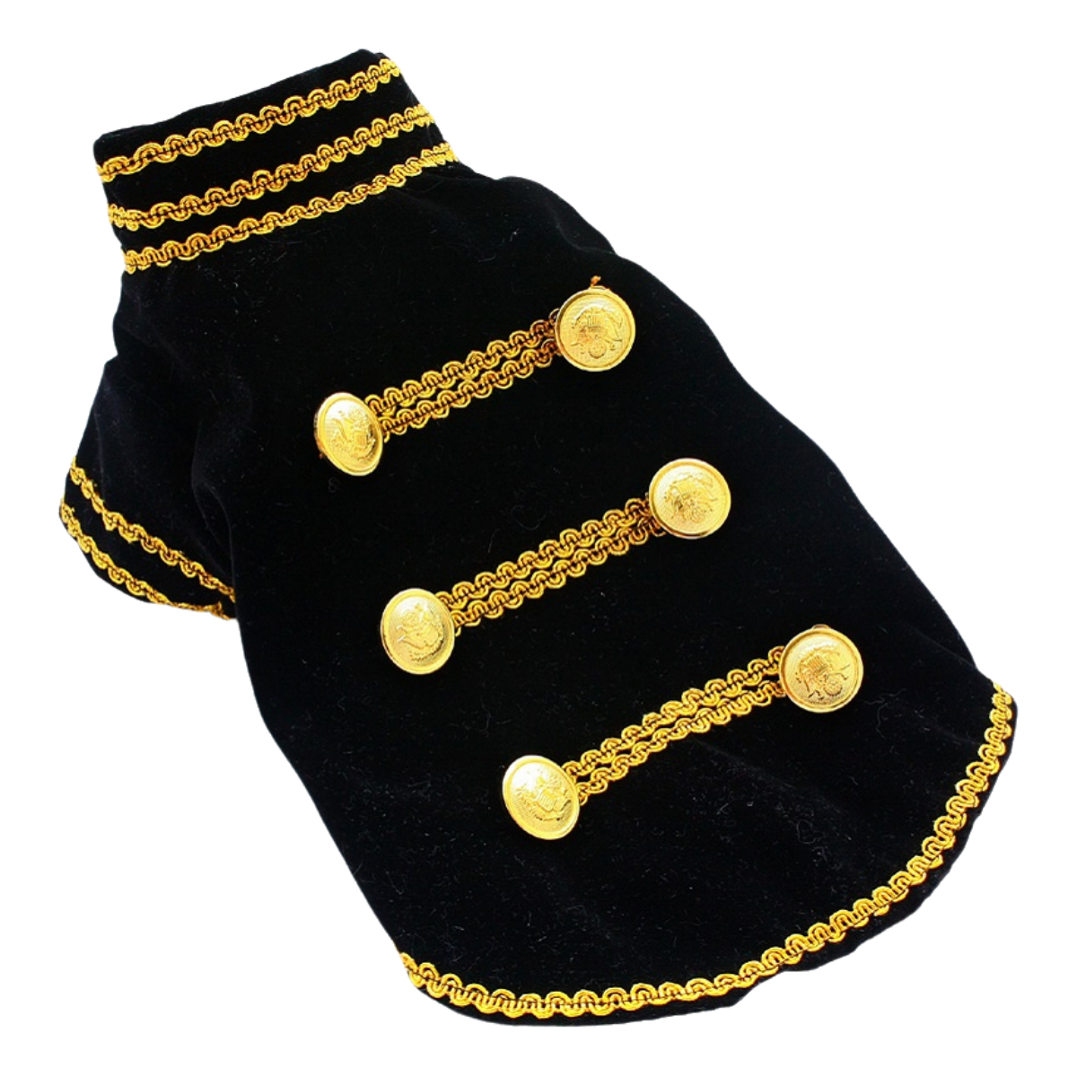 Black Velvet Dog Jacket with Gold Trim