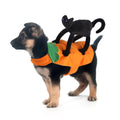 Pumpkin Dog Costume with Plush Black Cat