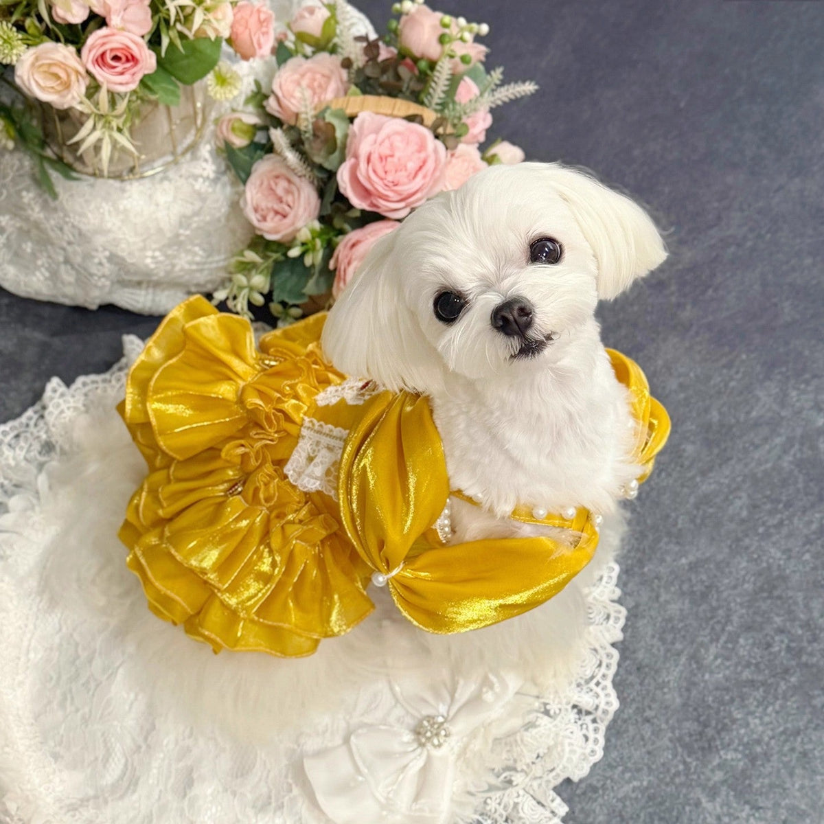 Golden Heart Jewel Dog Dress